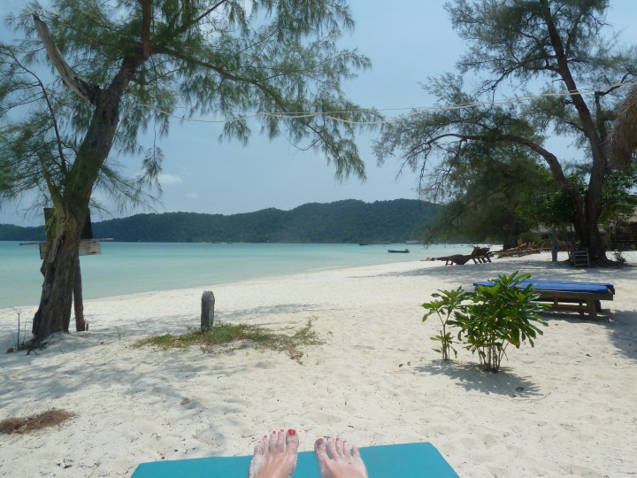 5 Months In – Thank you and Merry&nbsp;Christmas!