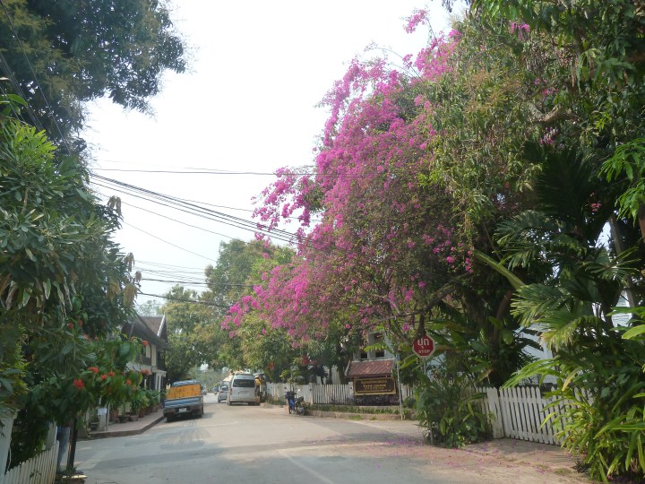 Delicate Negotiations in&nbsp;Laos!