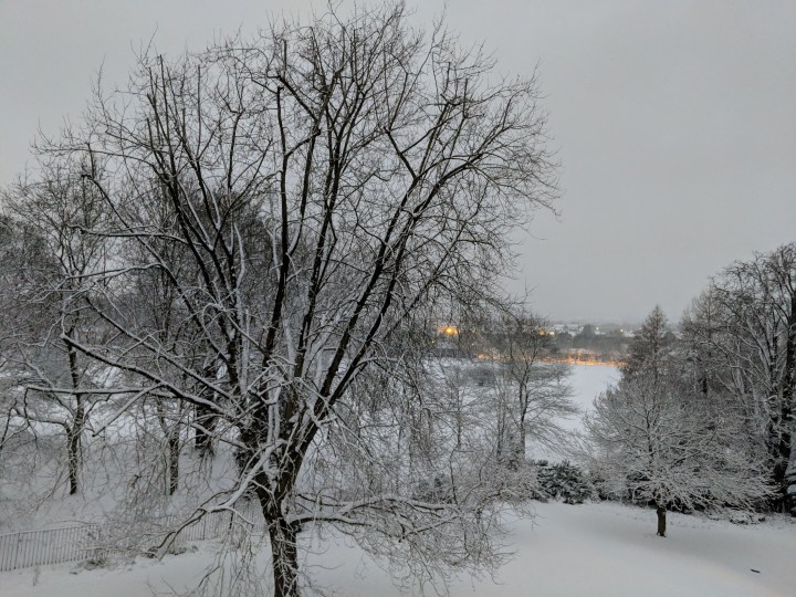 img_20190201_072626-2