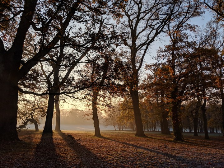 Friendly Friday Photo Challenge:&nbsp;Illumination!