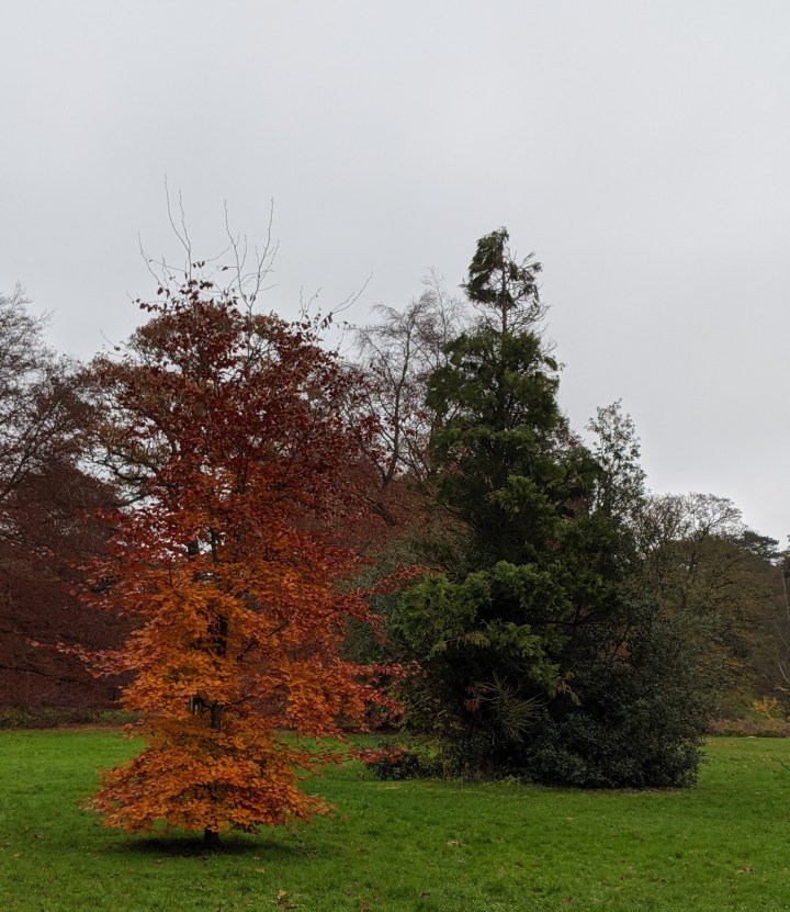 img_20191117_122207-1