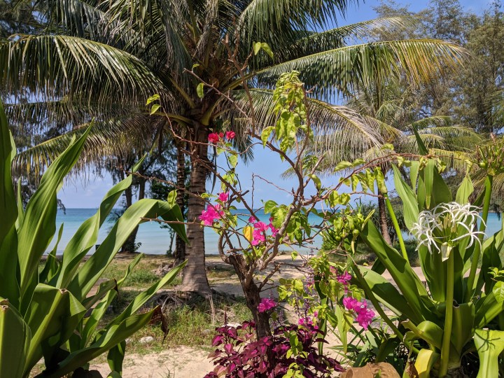 Posting Travel Content during the Coronavirus&nbsp;Pandemic