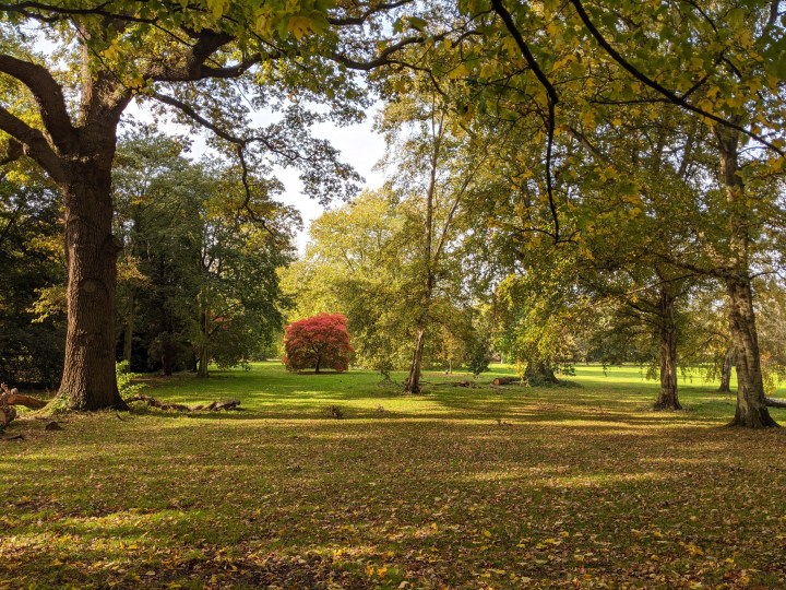 More Autumn Loveliness